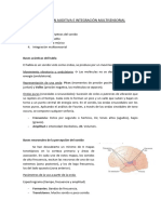 Tema 6 Percepción Auditiva e Integración Multisensorial