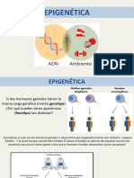 1 - Clase de Epigenética