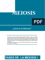 Meiosis