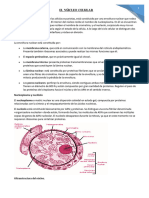 El Nucleo Celular