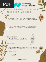 Analisis de Hildegard Peplau2