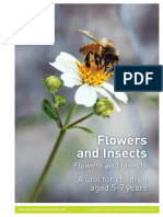 Flowers and Insects (Flowers and Insects) - MP1