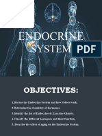 Endocrine System