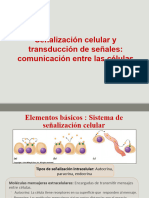 TALLER Señalización celular-GPCR