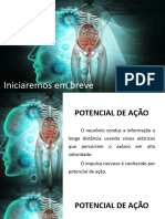 Potencial de Ação e Neurotransmissores