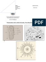 Cours BCG UFR2S