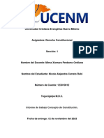 Informe de Trabajo Concepto de Constitución.