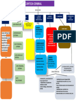 Mapa Conceptual....