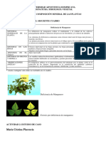 Estudio de Casos. Sintomas de Deficiencias en Cultivos.