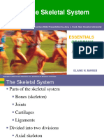 Skeletal System