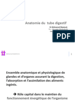 Anatomie Tube Digestif