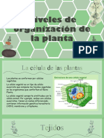 Niveles de Organización de La Planta