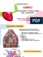 Cardiologia Tema 1 Anato y Fisio 3