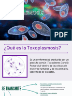 TOXOPLASMOSIS