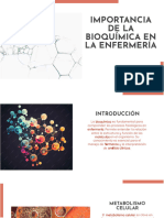 Wepik Importancia de La Bioquimica en La Enfermeria 20231117012521xeTJ