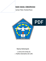 Laporan Hasil Observasi