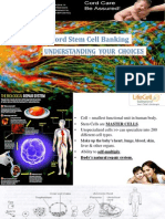 Lifecell Cord Blood Stemcell Banking