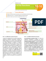 TD 10 corrigé-STRUCTURE ET FONCTIONS DE LA PEAU