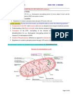 2023 2024 b3502 Lecture 16 Carbohydrate+Metabolism+Cont Electron+Transport+Chain+and+Oxidative+Phosphorylation