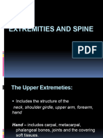 Spine & Extremity Slides 1 PDF