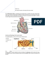 Cardiovascular System