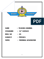 Physics Project Thermal Generator