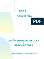 Tema 5 Placa Motora