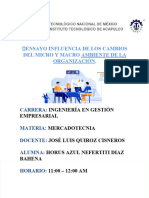 Ensayo Micro y Macro Ambiente de La Organización