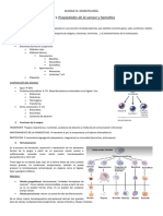 Resumen Bloque Iii