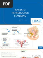 Semana 14 Aparato Reproductor Femenino