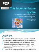 The Endomembrane System