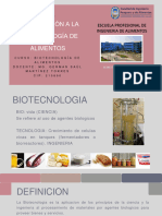 4 Diapos de Biotec Resumen