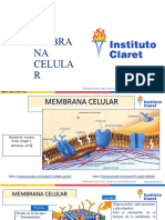 Membrana Celular 1