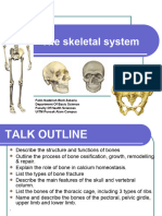 Skeletal System