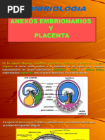 Embriologia 3-21