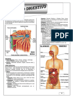 9 Biologia (T)