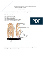 Sistema Cardiovascular Completo