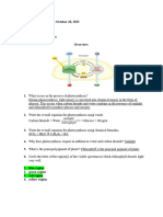 Photosynthesis Worksheet