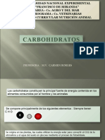 Los Carbohidratos