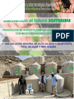 2022 - Lainez - Reyes - Produccion de Biofertilizantes Liquidos y Solidos Con Bacterias Eficaces