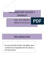 Inflamacion Aguda y Cronica