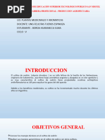 Informe de Cedron