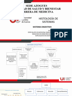 Sistema Digestivo