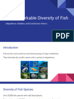 The Remarkable Diversity of Fish