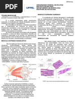 Atividade Tecido Muscular