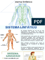 Sistema Linfatico