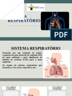 Aula Sistema Res