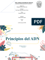 Principios Del ADN