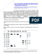 Biologie Moleculaire Travaux Pratiques Examen 2019