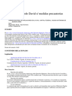 Rabinovich, Ricardo David S - Medidas Precautorias